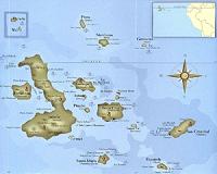 Iconic Galapagos bird suffering population decline
