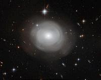 A galaxy in bloom