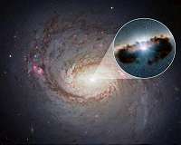 A cosmic clumpy doughnut around black hole