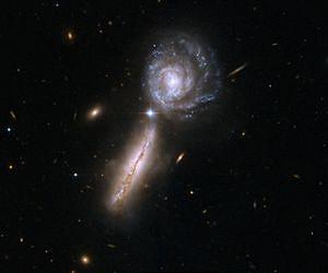 Do Milky Way's Companions Spell Trouble for Dark Matter?