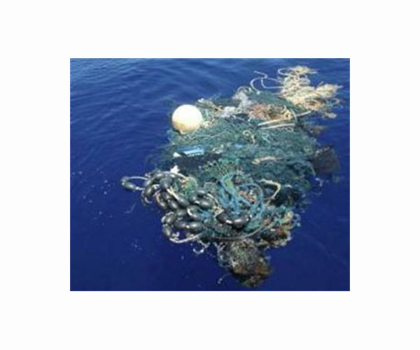 Fishermen, sailing champions clean up trash-covered Rio island