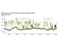Return of GEDI's First Data Reveals the Third Dimension of Forests