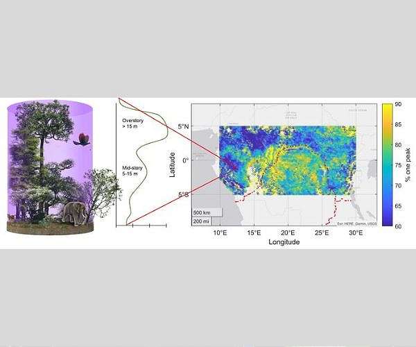 NASA space laser provides answers to a rainforest canopy mystery