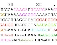 Various Species' Genes Evolve To Minimize Protein Production Errors