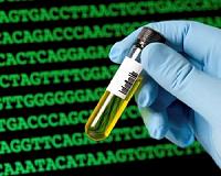 Genetic tool that can doom a species under UN review