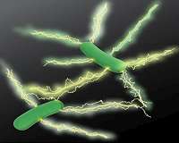 Microbiologists make big leap in developing 'green' electronics