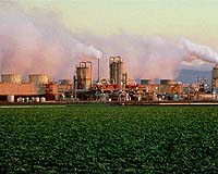 Californians For Clean And Reliable Energy Call For Support Of Sunrise Powerlink