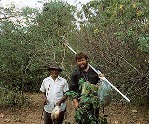 Profiling Prolific Plant Hunters Provides Insight