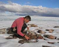 Last remnant of North American ice sheet on track to vanish