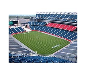 'Green' issues weigh increasingly on sport