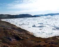 Novel Bacterial Species Found Trapped In Greenland Icecap