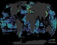 High seas fishing would go broke without 'massive' subsidies: study
