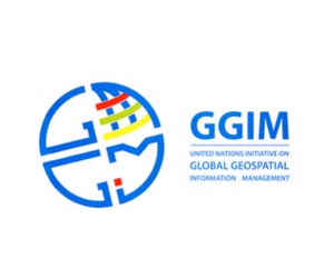 Better use of Global Geospatial Information for Solving Development Challenges