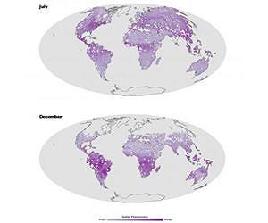 First-of-its-kind fluorescence map offers a new view of the world's land plants