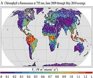 Watching the planet breathe