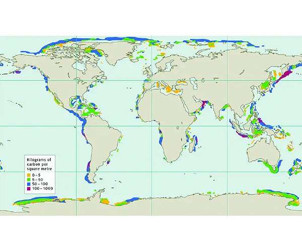 Frozen methane under the seabed is thawing as oceans warm