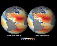 NASA study adds a pinch of salt to El Nino models