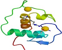 Structure Of 450 Million Year Old Protein Reveals Evolution Steps