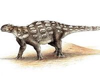 Tail as old as time - researchers trace ankylosaur's tail evolution