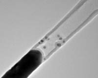 Hybrid Structures Combine Strengths Of Carbon Nanotubes And Nanowires