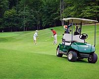 Hole in none: how screen golf got serious in South Korea
