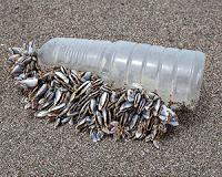 EU Parliament to phase out plastic water bottles