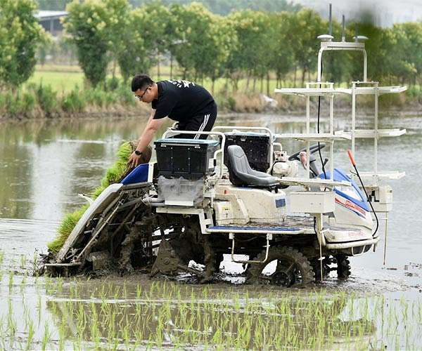 Finding the recipe for a larger, greener global rice bowl