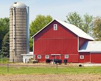 Researchers learn how to keep pathogens, pests from traveling with grain
