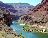 Gray wolf confirmed in Grand Canyon