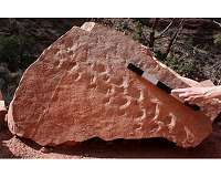Tiny footprints, big discovery: Reptile tracks oldest ever found in grand canyon