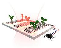 Graphene-based sensor that is tunable and highly sensitive