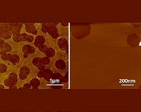 Swapping substrates improves edges of graphene nanoribbons