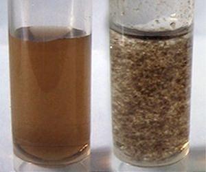 Another tiny miracle: Graphene oxide soaks up radioactive waste