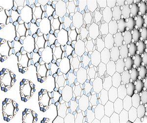 Catching graphene butterflies