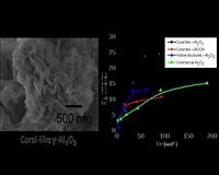 Synthetic coral could remove toxic heavy metals from the ocean