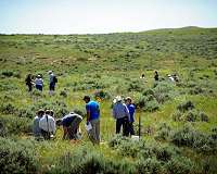 Researchers quantify grasslands' carbon storage value