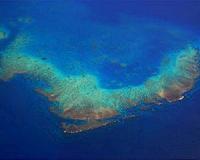 Study projects major loss of corals in Great Barrier Reef