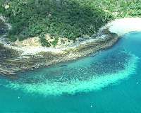 Climate change triggers Great Barrier Reef bleaching
