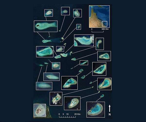 Health of coral reefs written in the sand - and visible via satellite