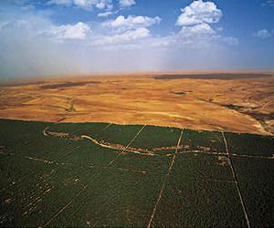 African Sahel reels from ever more frequent crises: UN