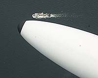 Airplane Monitors Great Lakes Algae