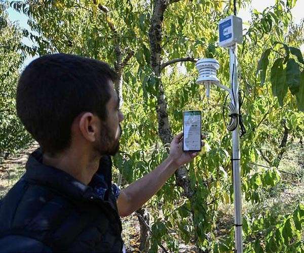 Smart farming tech offers sprout of hope in Greece