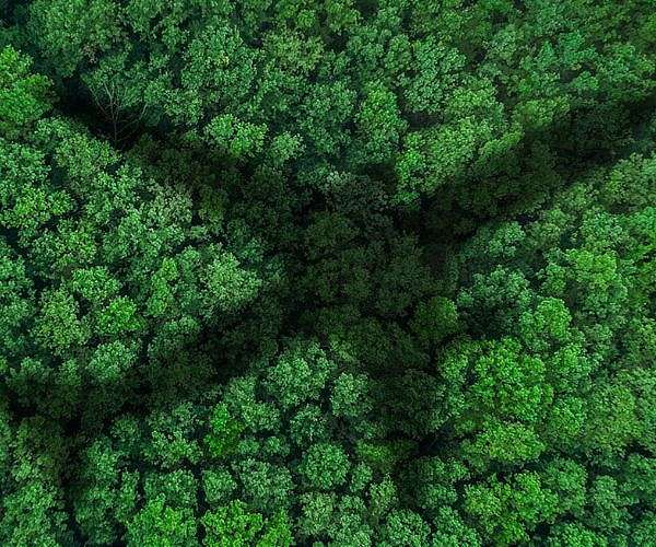 EU airlines agree to drop misleading climate claims