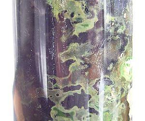 Infrared Photosynthesis: A Potential Power Source for Alien Life in Sunless Places