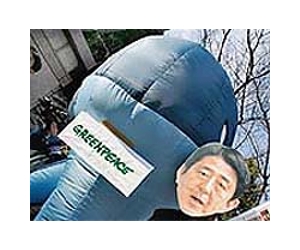 Japan may press charges against anti-whaling activist