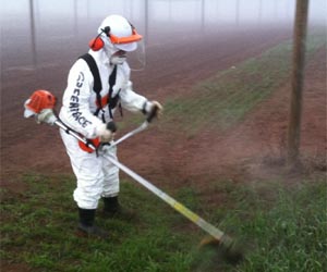 GM food solutions at risk from lobbyists