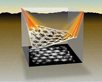 Reality is distorted in brain's maps