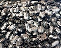 Leave coal, oil in ground for climate's sake: study