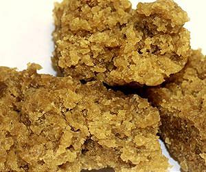 Versalis and Yulex partner to produce guayule-based biorubbers
