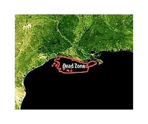 Predict Larger Than Average Gulf Dead Zone